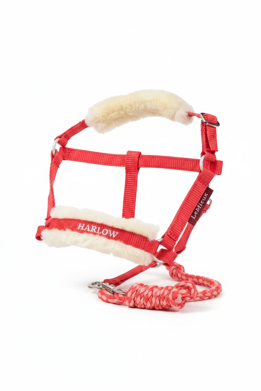 LeMieux Harlow Hobby Horse Halster Speelgoed - Maddelin Equestrian LeMieux