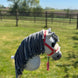 LeMieux Harlow Hobby Horse Halster Speelgoed - Maddelin Equestrian LeMieux