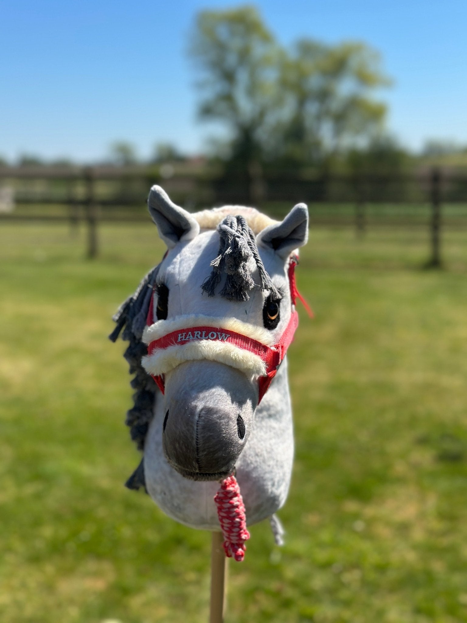 LeMieux Harlow Hobby Horse Halster Speelgoed - Maddelin Equestrian LeMieux