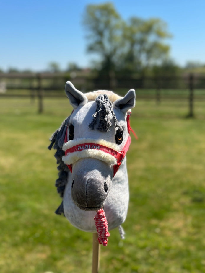 LeMieux Harlow Hobby Horse Halster Speelgoed - Maddelin Equestrian LeMieux