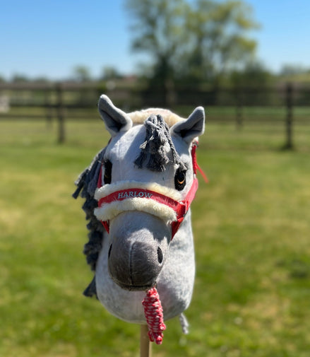 LeMieux Harlow Hobby Horse Halster Speelgoed - Maddelin Equestrian LeMieux