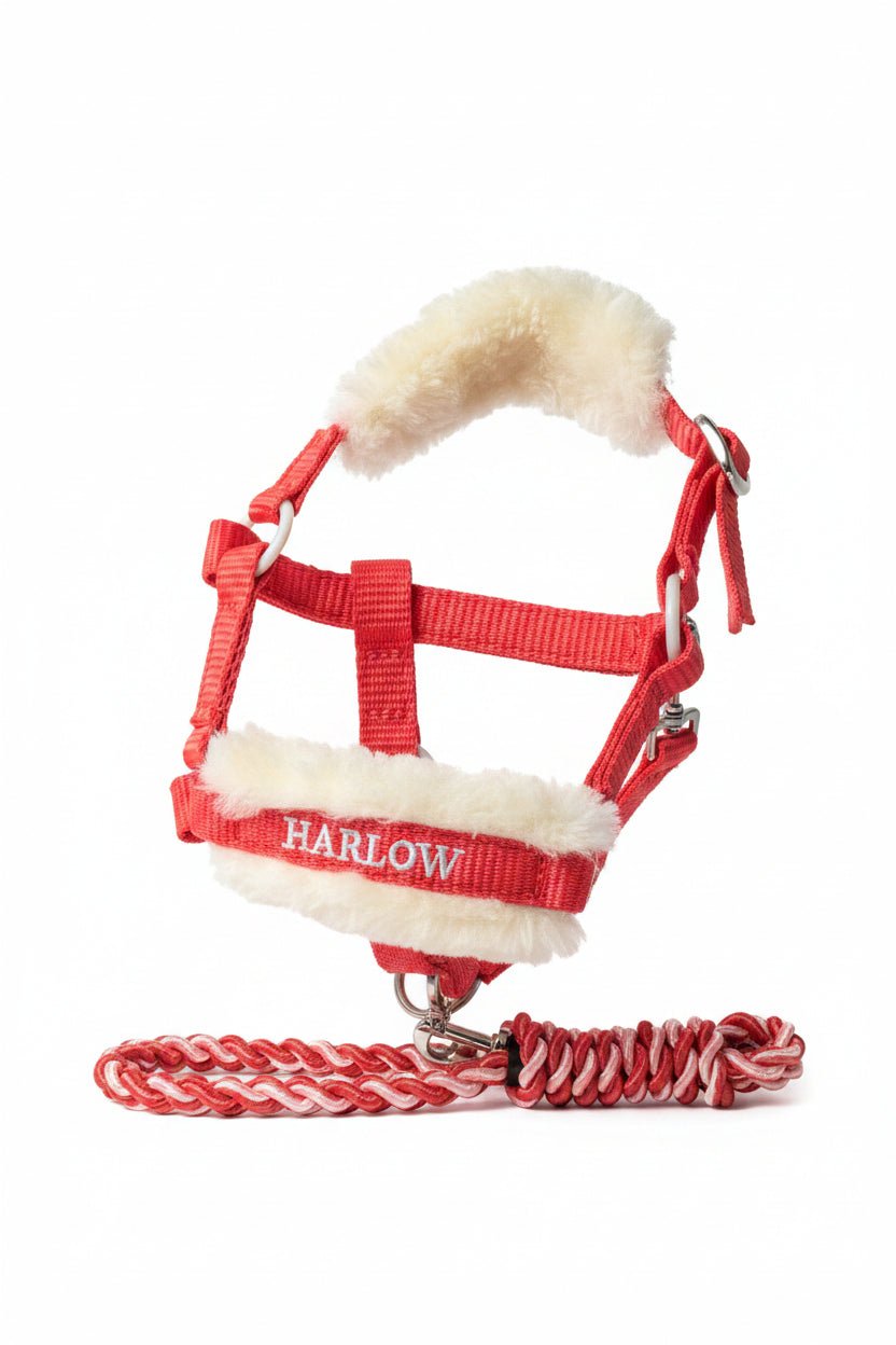 LeMieux Harlow Toy Pony Halster & Touw Speelgoed - Maddelin Equestrian LeMieux