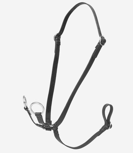 LeMieux Hobby Horse Martingale Speelgoed - Maddelin Equestrian LeMieux