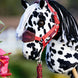 LeMieux Hobby Horse Met Afneembare stok Speelgoed - Maddelin Equestrian LeMieux