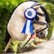 LeMieux Hobby Horse Rosette Pack Speelgoed - Maddelin Equestrian LeMieux