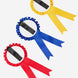 LeMieux Hobby Horse Rosette Pack Speelgoed - Maddelin Equestrian LeMieux