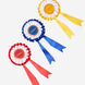 LeMieux Hobby Horse Rosette Pack Speelgoed - Maddelin Equestrian LeMieux