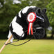 LeMieux Hobby Horse Rosette Pack Speelgoed - Maddelin Equestrian LeMieux