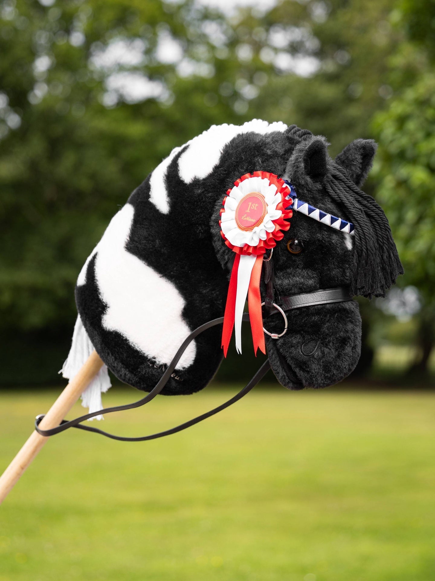 LeMieux Hobby Horse Rosette Pack Speelgoed - Maddelin Equestrian LeMieux