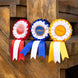 LeMieux Hobby Horse Rosette Pack Speelgoed - Maddelin Equestrian LeMieux