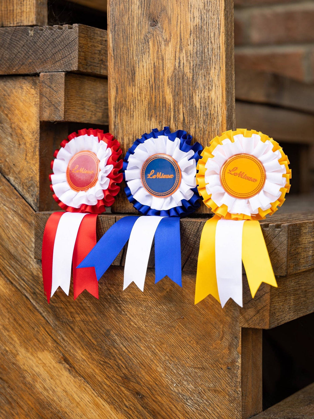 LeMieux Hobby Horse Rosette Pack Speelgoed - Maddelin Equestrian LeMieux