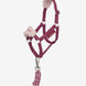 LeMieux Hobby Horse Vogue Halster Speelgoed - Maddelin Equestrian