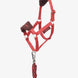 LeMieux Hobby Horse Vogue Halster Speelgoed - Maddelin Equestrian LeMieux