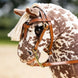 LeMieux Hobby Horse Western Hoofdstel Speelgoed - Maddelin Equestrian LeMieux