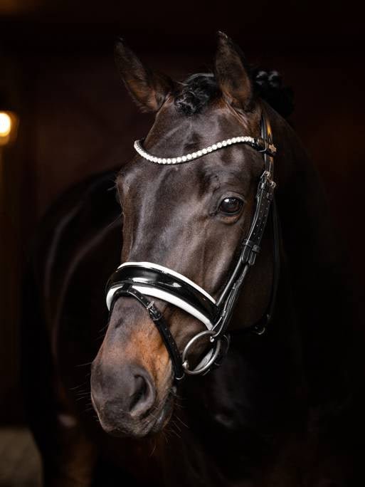 LeMieux Ice Crystal Frontriem Frontriemen - Maddelin Equestrian LeMieux