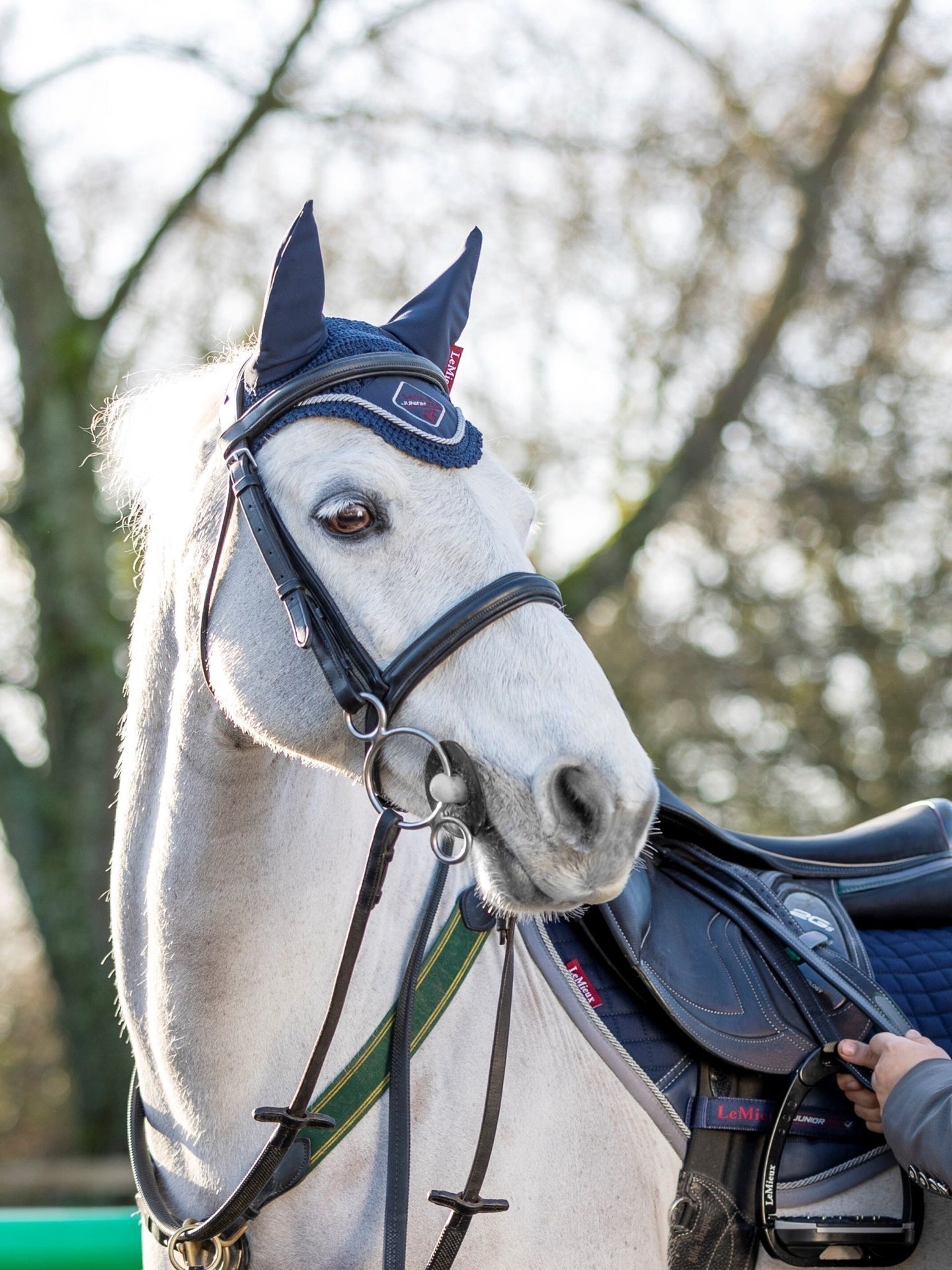 LeMieux Junior Pro Oornetje Oornetjes - Maddelin Equestrian LeMieux
