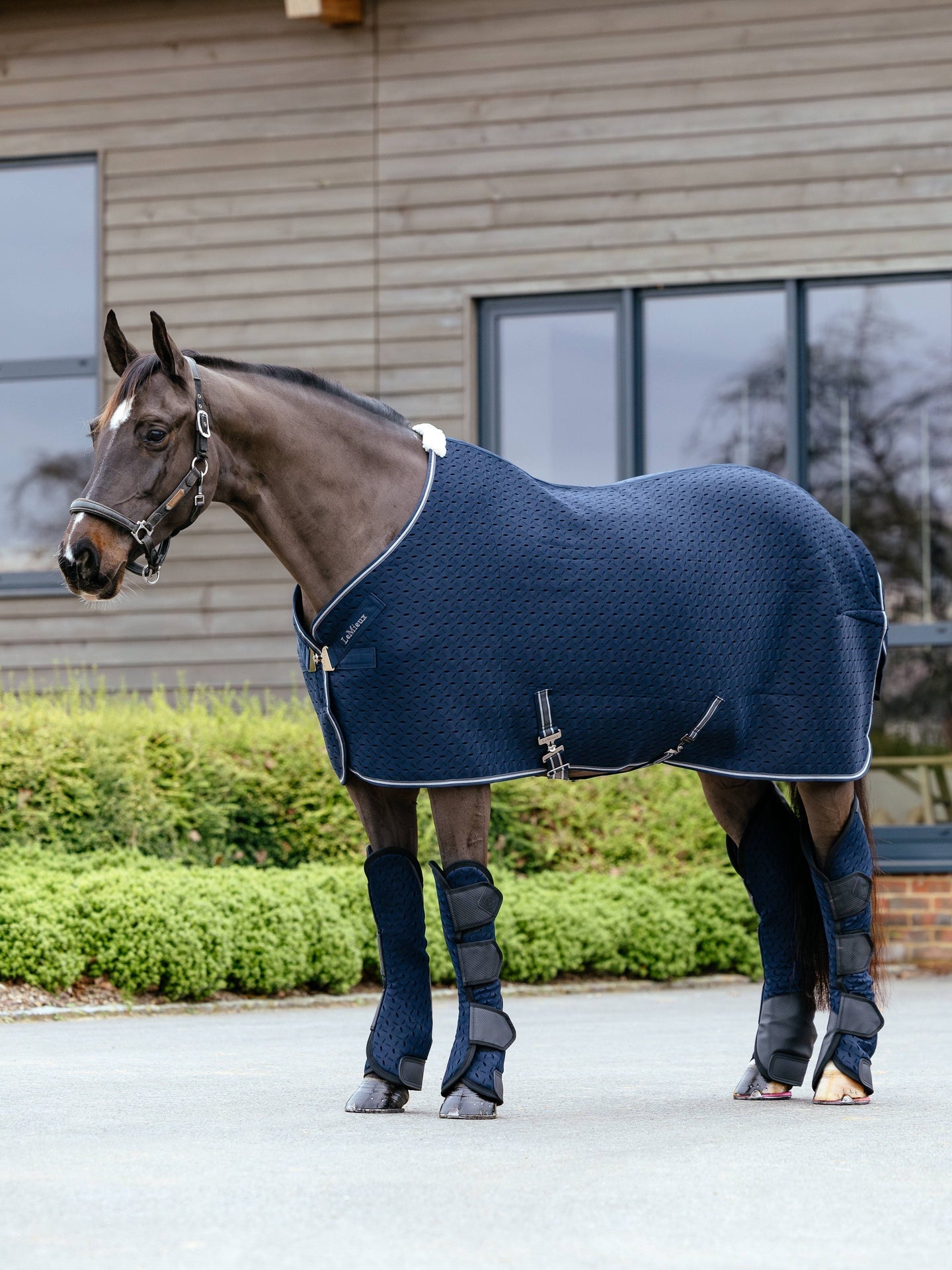 LeMieux Kudos 3D Mesh Transportbeschermers Transport, therapeutisch en stalbeschermers - Maddelin Equestrian LeMieux