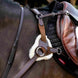 LeMieux Kudos 5-puntig Borsttuig Borstriemen en martingalen - Maddelin Equestrian