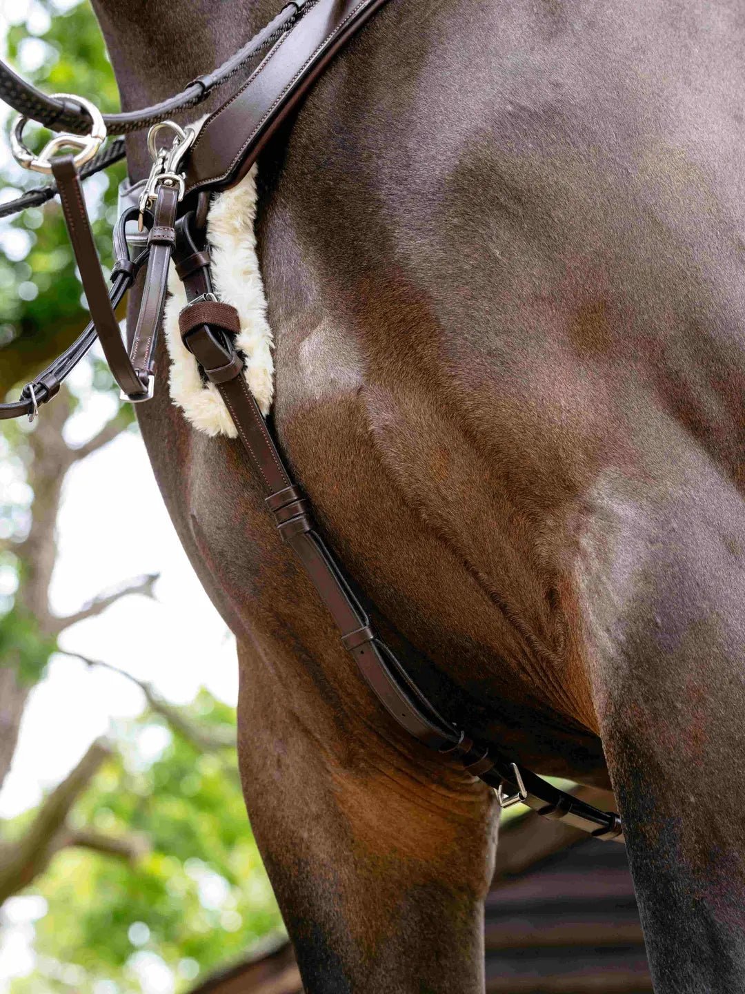 LeMieux Kudos 5-puntig Borsttuig Borstriemen en martingalen - Maddelin Equestrian