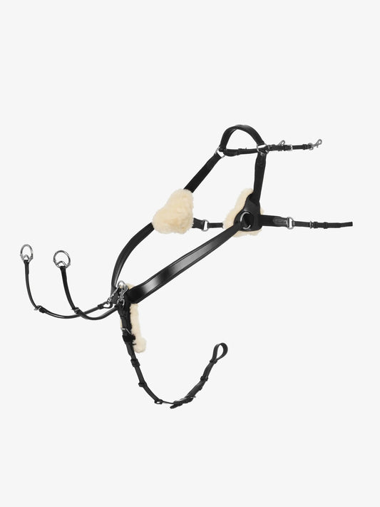 LeMieux Kudos 5-puntig Borsttuig Borstriemen en martingalen - Maddelin Equestrian