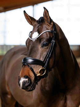 LeMieux Kudos Anatomisch Dressuurhoofdstel Trenshoofdstellen - Maddelin Equestrian