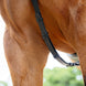 Lemieux Kudos Bridge Breastplate Borstriemen en martingalen - Maddelin Equestrian LeMieux