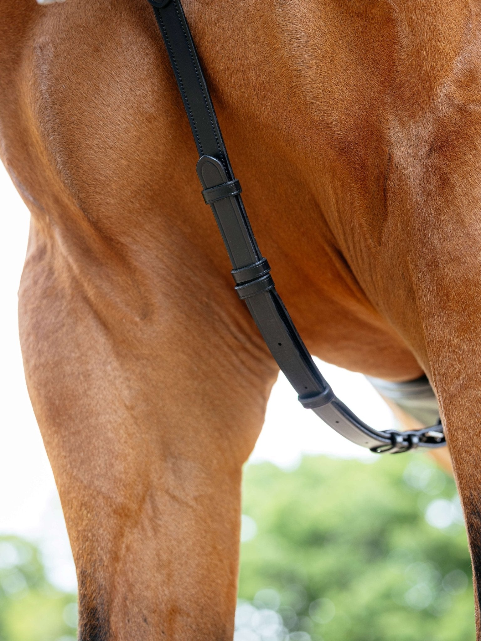 Lemieux Kudos Bridge Breastplate Borstriemen en martingalen - Maddelin Equestrian LeMieux