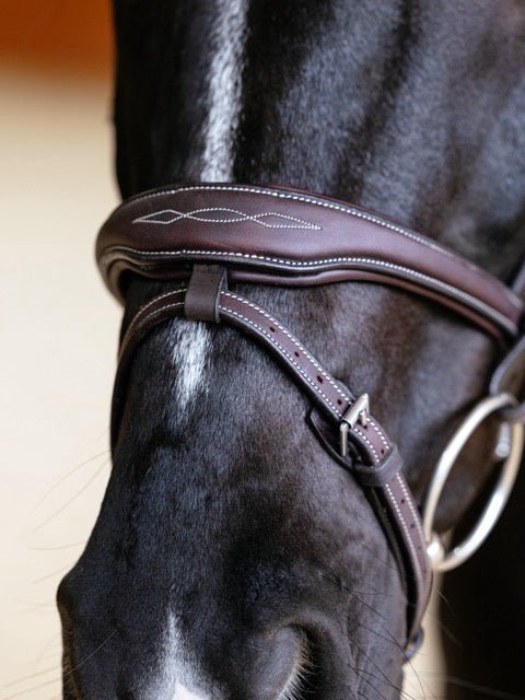 LeMieux Kudos Contour Flash Hoofdstel Trenshoofdstellen - Maddelin Equestrian LeMieux