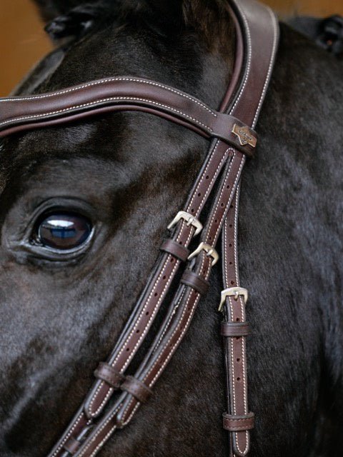 LeMieux Kudos Contour Flash Hoofdstel Trenshoofdstellen - Maddelin Equestrian LeMieux
