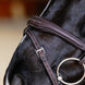 LeMieux Kudos Contour Flash Hoofdstel Trenshoofdstellen - Maddelin Equestrian LeMieux