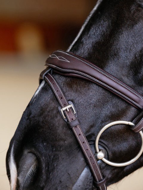 LeMieux Kudos Contour Flash Hoofdstel Trenshoofdstellen - Maddelin Equestrian LeMieux