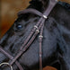 LeMieux Kudos Contour Flash Hoofdstel Trenshoofdstellen - Maddelin Equestrian LeMieux