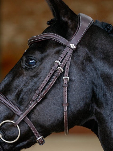 LeMieux Kudos Contour Flash Hoofdstel Trenshoofdstellen - Maddelin Equestrian LeMieux