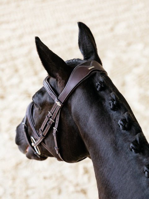 LeMieux Kudos Contour Flash Hoofdstel Trenshoofdstellen - Maddelin Equestrian LeMieux