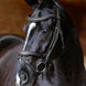 LeMieux Kudos Contour Flash Hoofdstel Trenshoofdstellen - Maddelin Equestrian LeMieux