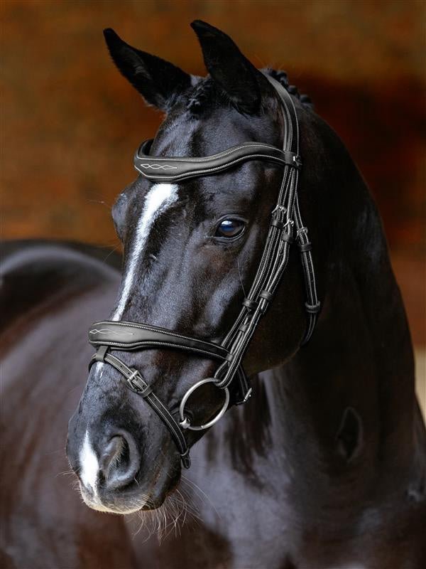 LeMieux Kudos Contour Flash Hoofdstel Trenshoofdstellen - Maddelin Equestrian LeMieux