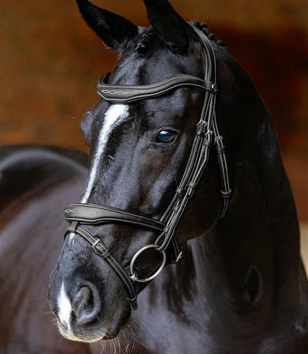 LeMieux Kudos Contour Flash Hoofdstel Trenshoofdstellen - Maddelin Equestrian LeMieux