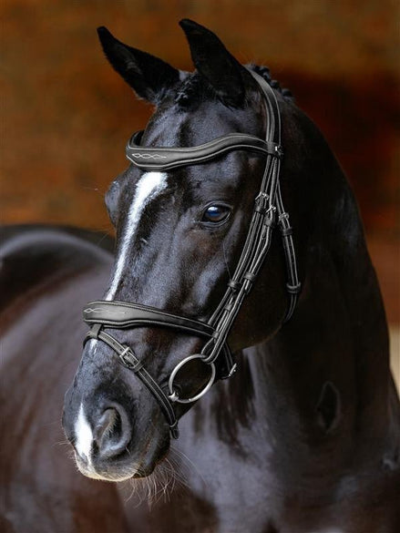 LeMieux Kudos Contour Flash Hoofdstel Trenshoofdstellen - Maddelin Equestrian LeMieux