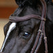 LeMieux Kudos Contour Flash Hoofdstel Trenshoofdstellen - Maddelin Equestrian LeMieux