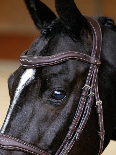 LeMieux Kudos Contour Flash Hoofdstel Trenshoofdstellen - Maddelin Equestrian LeMieux