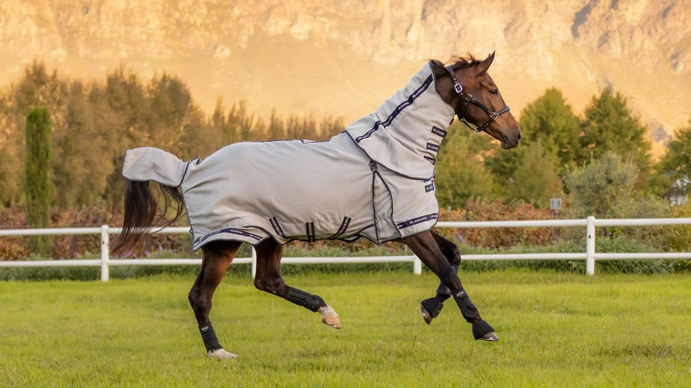 LeMieux Kudos Gladiator Vliegendeken Vliegendekens - Maddelin Equestrian LeMieux