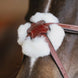 LeMieux Kudos Grackle Hoofdstel Trenshoofdstellen - Maddelin Equestrian LeMieux