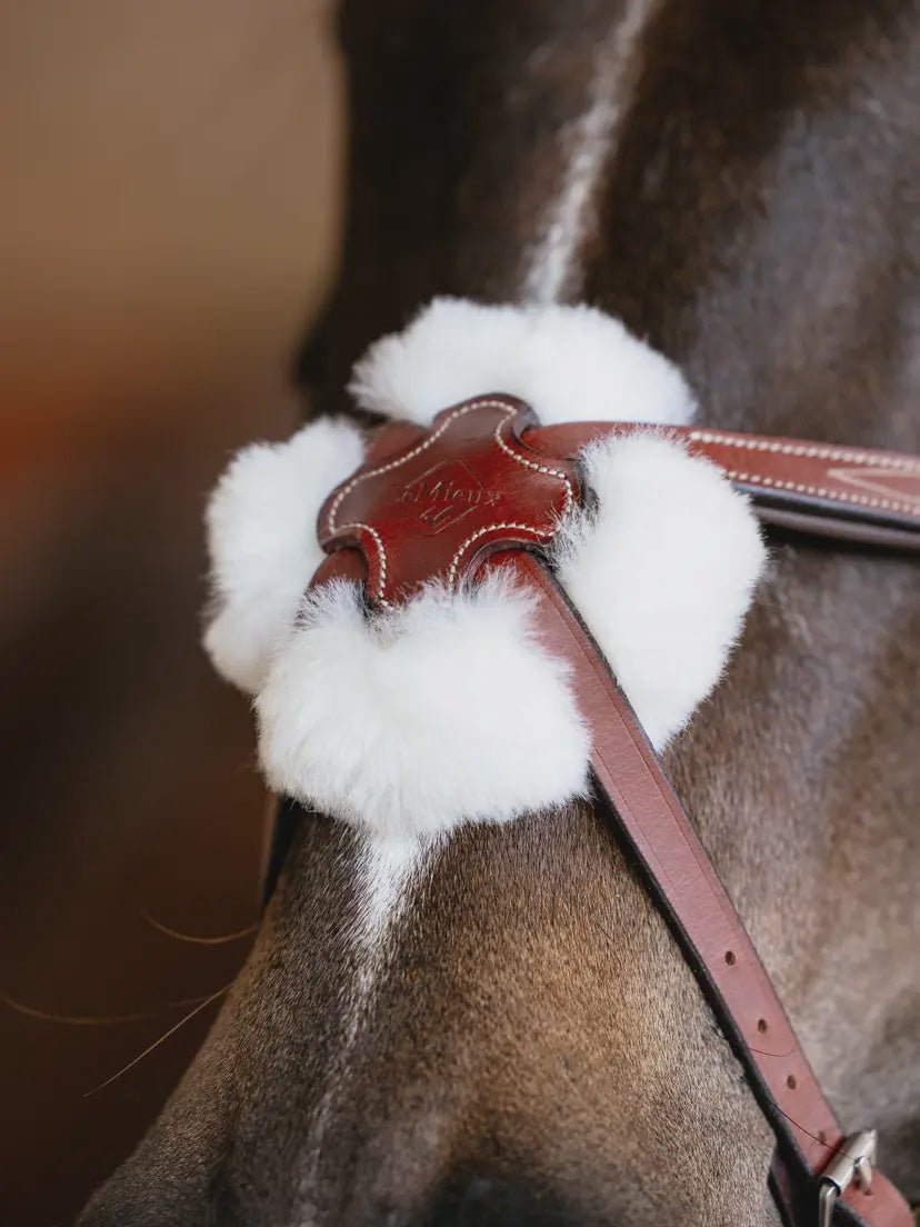 LeMieux Kudos Grackle Hoofdstel Trenshoofdstellen - Maddelin Equestrian LeMieux