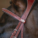 LeMieux Kudos Grackle Hoofdstel Trenshoofdstellen - Maddelin Equestrian LeMieux