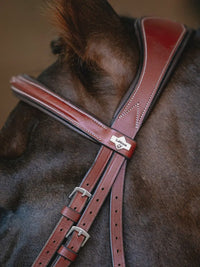 LeMieux Kudos Grackle Hoofdstel Trenshoofdstellen - Maddelin Equestrian LeMieux