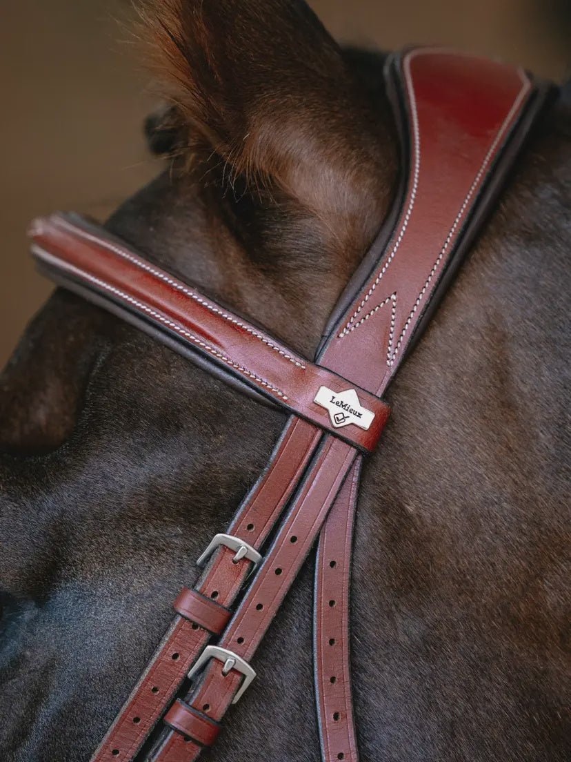 LeMieux Kudos Grackle Hoofdstel Trenshoofdstellen - Maddelin Equestrian LeMieux