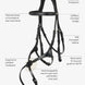 LeMieux Kudos Grackle Hoofdstel Trenshoofdstellen - Maddelin Equestrian LeMieux