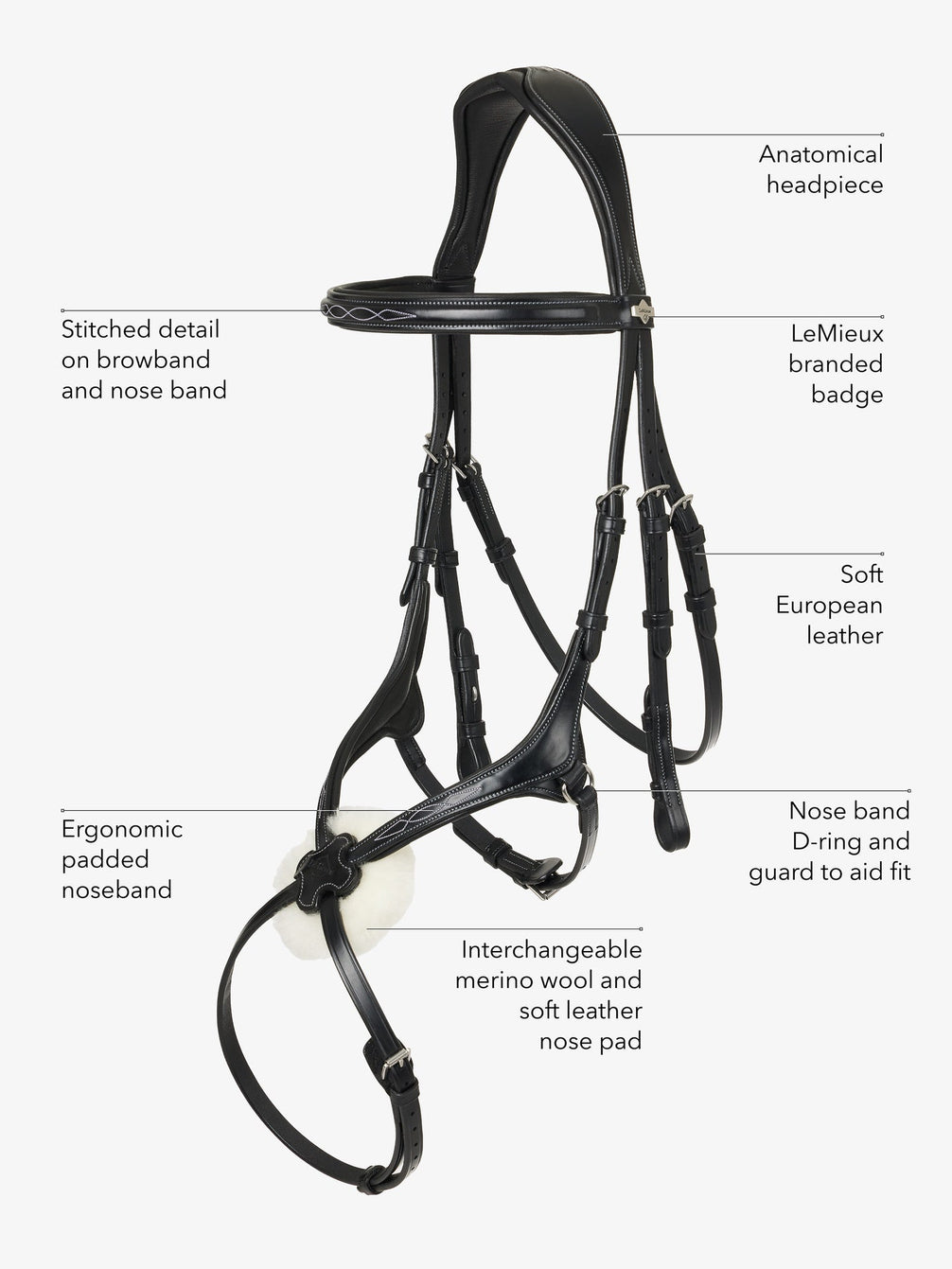 LeMieux Kudos Grackle Hoofdstel Trenshoofdstellen - Maddelin Equestrian LeMieux