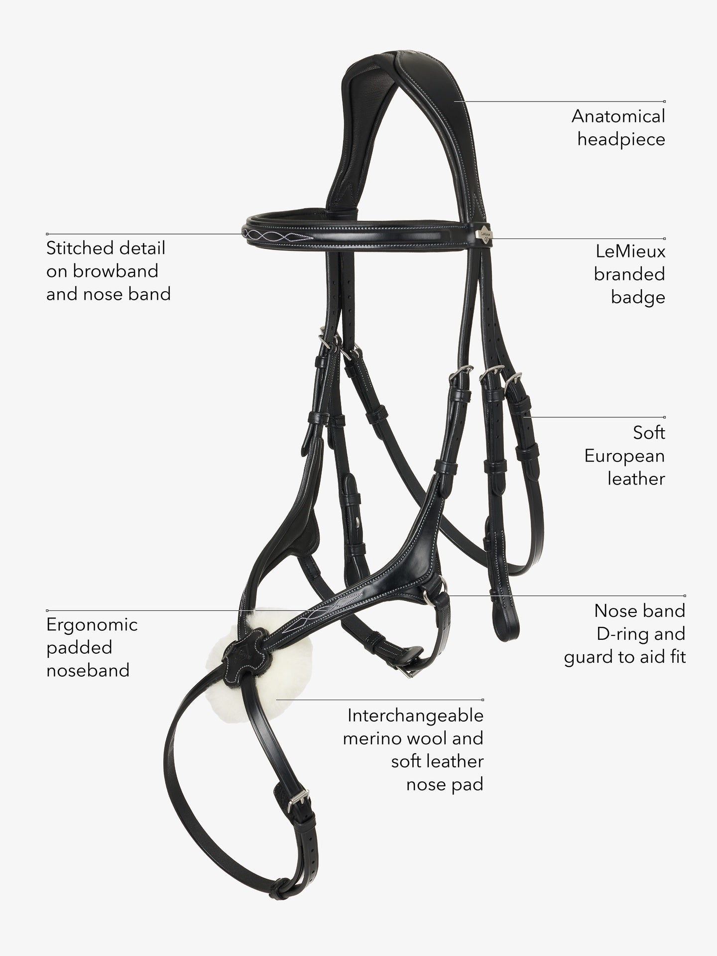 LeMieux Kudos Grackle Hoofdstel Trenshoofdstellen - Maddelin Equestrian LeMieux