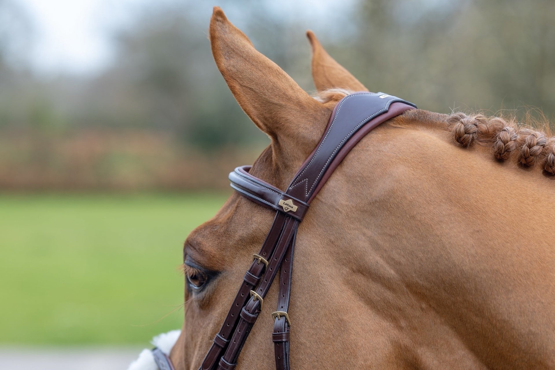 LeMieux Kudos Grackle Hoofdstel Trenshoofdstellen - Maddelin Equestrian LeMieux
